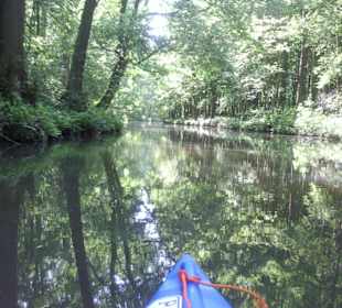 Per Boot durch den Spreewald