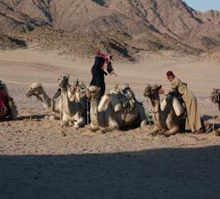 Kamelreiten in der Wüste
