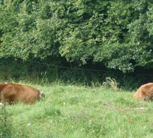 Rundwanderung Extratour Kuppenweg, Platzer Kuppe