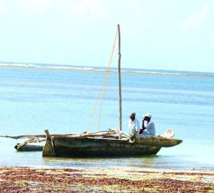 Diani Beach