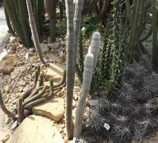 Botanischer Garten