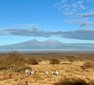 Tsavo West National Park