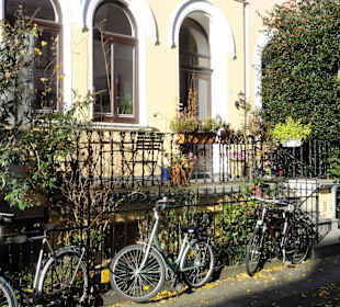 Herbstspaziergang durch das Ostertor-Viertel