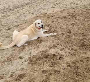 Was für ein Leben...