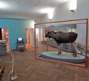 Naturwissenschaftliches Museum