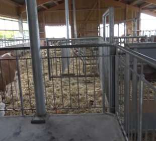 Erlebnisbauernhof und Wildgehege