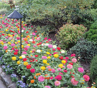 Blumenarrangement