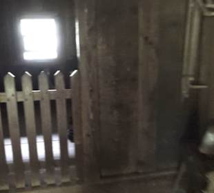 Kinzigtäler Speicher