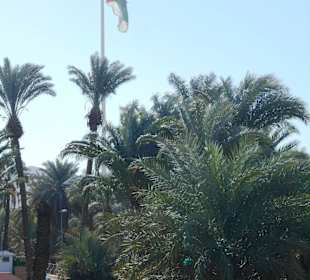 Al-Hafayer Park