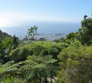 Blick auf den Hafen von Funchal