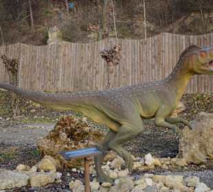 Bałtowski park dinozaurów