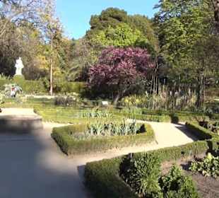 Real Jardín Botánico de Madrid