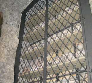 Klosterkirche St. Alto