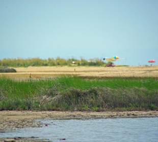 Strand von Bibione 06-2010