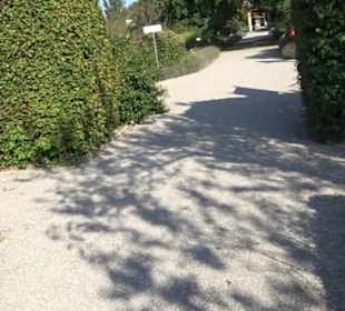 Botanischer Garten München