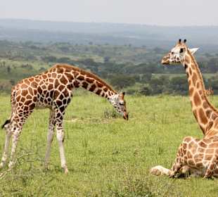 Murchison Falls