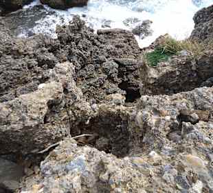 Aussicht von Halbinsel