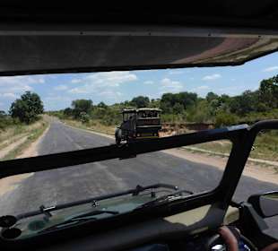 Krüger Nationalpark