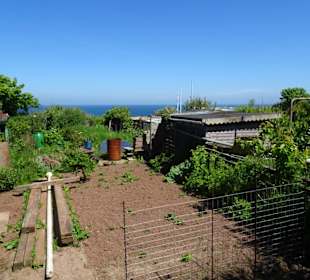 Rundgang durch die Schrebergarten-Kolonie