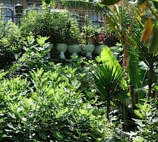 Toilettengarten
