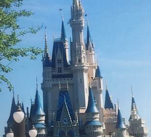 Disney World