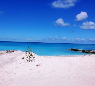 Im Bereich des National Parks