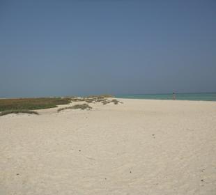 Ausflug zu den Qulan-Inseln