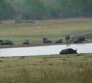 Eines der Wasserlöcher