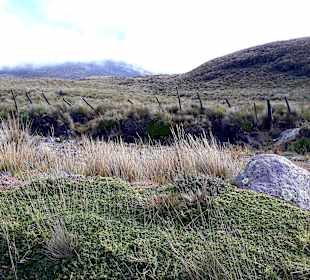 Wandern am Chimborazo