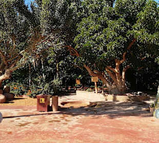 Crocopark