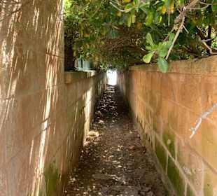 Stadtrundgang Cala Bona