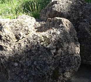 Geologischer Lehrgarten