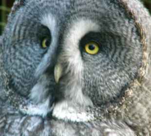 WP LH Herbst Impression