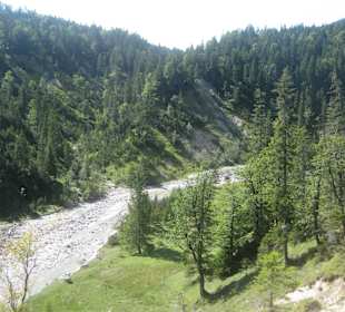 Finzalm
