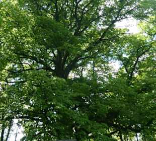 Eindruck vom Spaziergang Ostheimer Streifberg-Tour