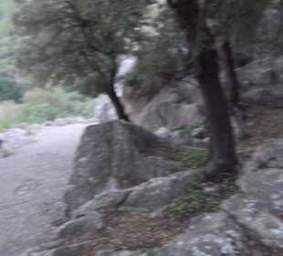 Hügel der Geheimnisse (Pujol dels Misteris)