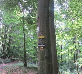 Auf dem Weg zur Landauer Hütte