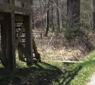 Waldkulturerbe Neuweiler Viehweide