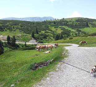 Auf der Villanderalm