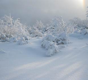 Winterimpressionen - Fichtelberg