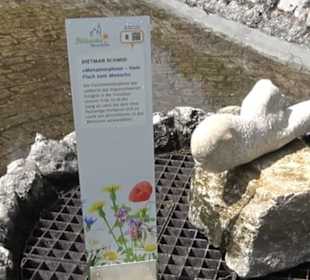 Blühendes Neresheim 2021