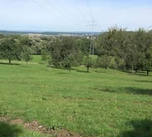 Premiumspazierweg Früchtetrauf-Leisawegle