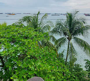 Ausblick Aussichtsturm