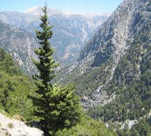 Ущелье Самарья