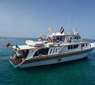 Tauchbasis Jasmin Diving, Hurghada