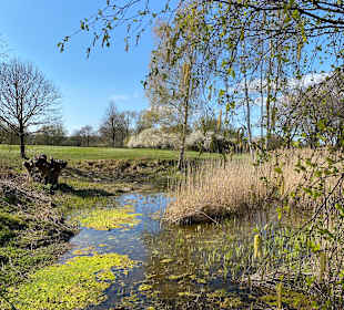 Stadtrundgang Travemünde