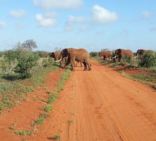 Viele Tiere hautnah erleben