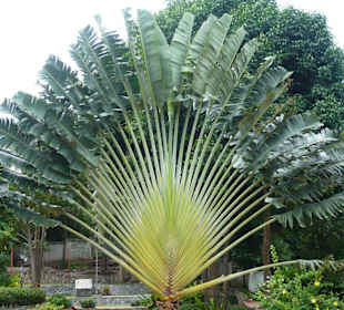 Auf der Minigolfanlage