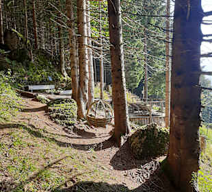 Wandern Balderschwang