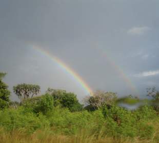 Regenbogen unterwegs
